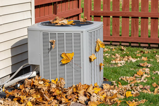 Best HVAC maintenance near me  in Rainbow City, AL