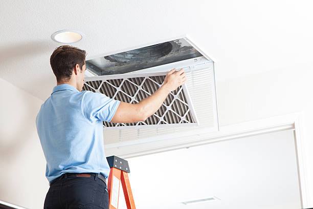 Best HVAC system installation  in Rainbow City, AL